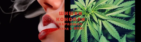 ешки Осинники
