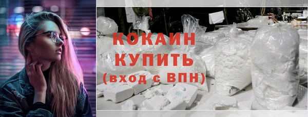 стафф Богданович