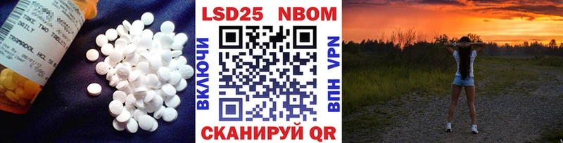 LSD-25 экстази кислота  Новоржев 