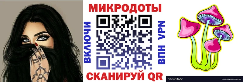 где найти наркотики  Новоржев  Псилоцибиновые грибы MAGIC MUSHROOMS 